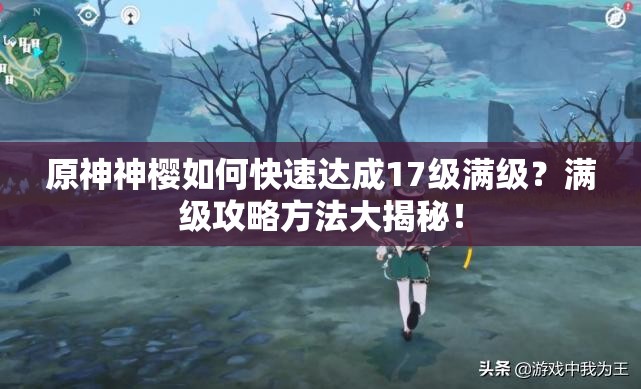 原神神樱如何快速达成17级满级？满级攻略方法大揭秘！