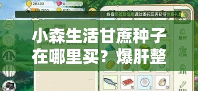 小森生活甘蔗种子在哪里买？爆肝整理甘蔗获取方式绝了！